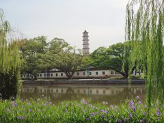 -江心屿景区