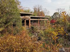 -宝界山林公园