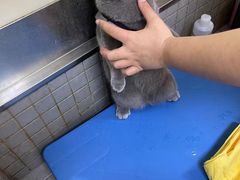 -宠颐生动物医院·小陆分院