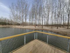 -东郊湿地公园
