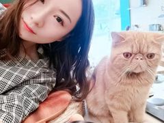 -飞行喵MR PILOT|猫舍·猫咖(静安大融城店)