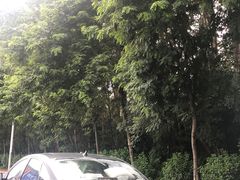 -南国桃园旅游度假区