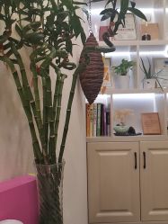 -芳朵美容养生SPA