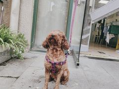 -瑞派·关忠动物医院·猫专科·犬专科(三环新城店)
