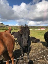 -简法造型·品牌形象店