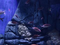 -成都浩海立方海洋公园