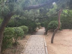 -贮水山儿童公园