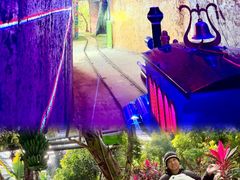 -呀路古热带植物园