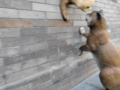 -承恩寺