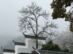 -岳麓书院