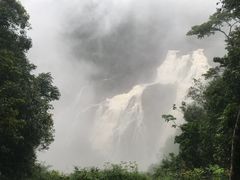 -热带雨林自然公园