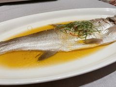 鲜鸡汁蒸白鱼-谷语中餐厅