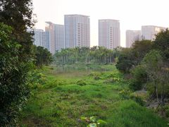-聚龙山公园