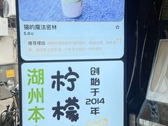 -猫的魔法密林(衣裳街店)