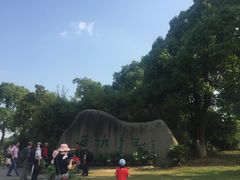 -荷塘月色湿地公园·向阳花洲