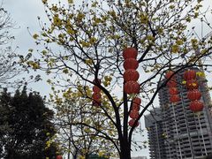 -晓港公园