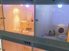 -嘉兴海底世界
