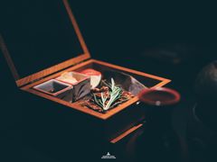 -花潮料理艺食馆(成都万象城店)