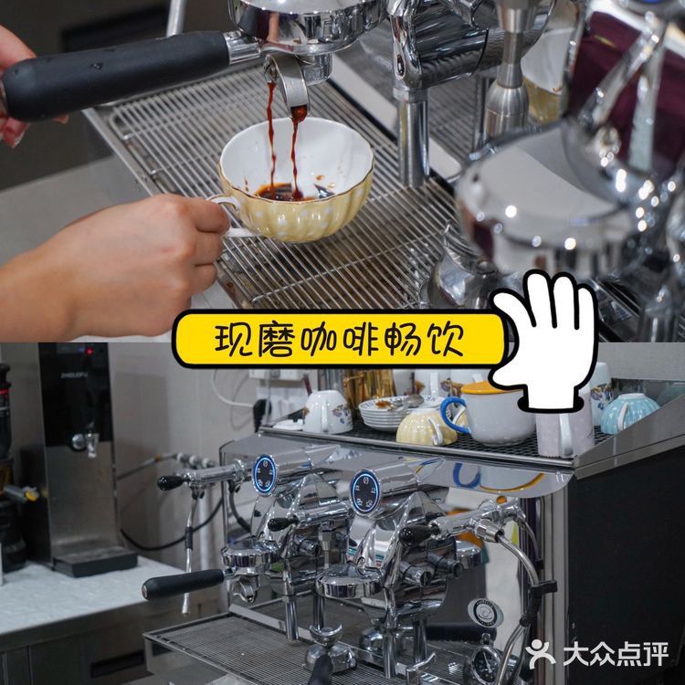 宇宙萌宠“甜茶🐱”日记|办个VIP做宠物届顶流🚀