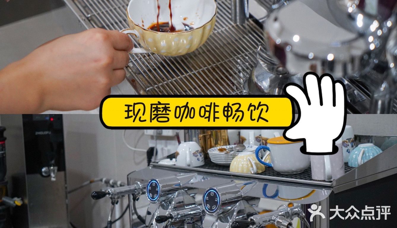 宇宙萌宠“甜茶🐱”日记｜办个VIP做宠物届顶流🚀
