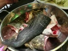 -肥鱼屯活鱼锅(惠工街店)