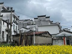 -科兴科学园