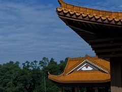 -深圳仙湖植物园-停车场