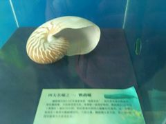 -上海海洋大学鱼文化博物馆(军工路校区)