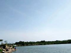 -大港湿地公园