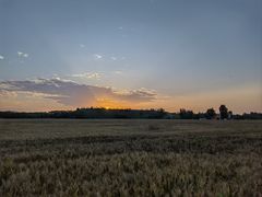 -汉长安城未央宫国家考古遗址公园