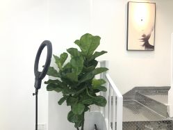 -AMOR慕尔造型