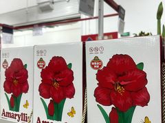 -山姆会员商店(上海浦东店)