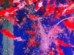 -三旗百汇商品城