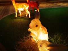 -东方之珠洗浴休闲广场(于家堡店)