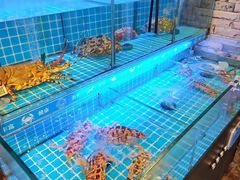 -龙图阁海鲜饭店