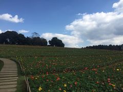 -保利石象湖景区
