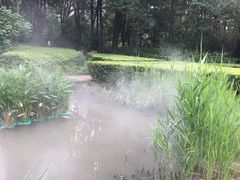 -苏州河梦清园环保主题公园