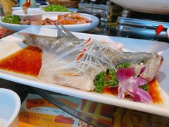 清蒸海鲈鱼-刘胖子家常菜·蹄花焖藕(中南店)