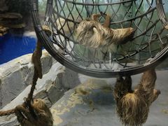 -合肥海洋世界