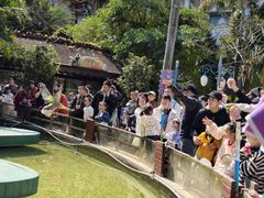 -灵玲国际马戏城