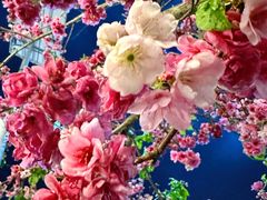 -瑞丰园庭院餐厅·白族传统家常菜