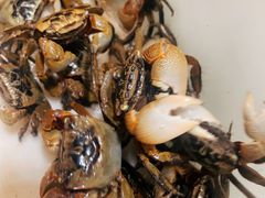 -沙田台山海鲜·酣客酒窖