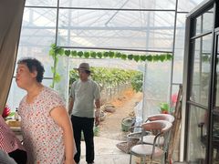 -马陆小张葡萄园农家乐