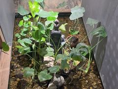 -邈墨茶馆(凤起路店)