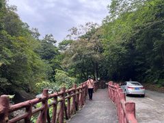 -广州市石门国家森林公园