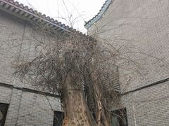 -汴河街