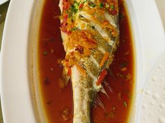 -南昌绿地铂瑞酒店·臻萃轩中餐厅