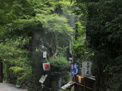 -常寂光寺
