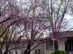 -建国门(地铁站)