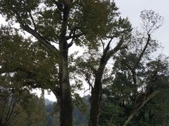 -井冈山风景名胜区